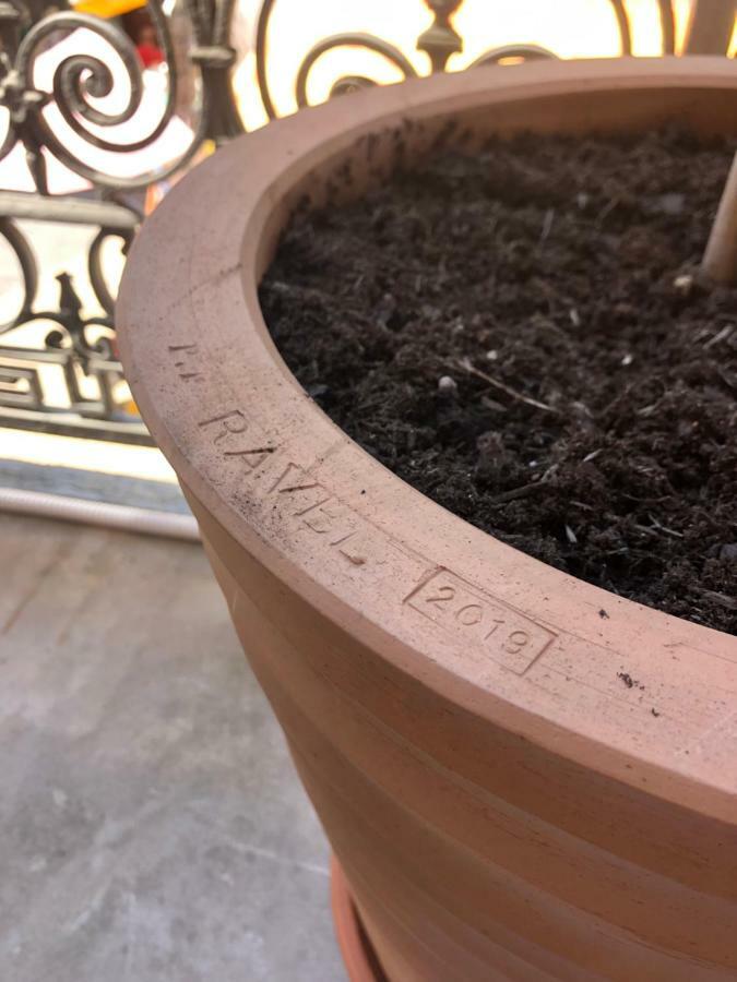 Olive Apartamento La Ciotat
